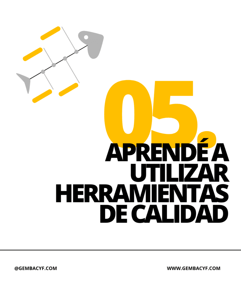 gestion de calidad - Gemba CyF